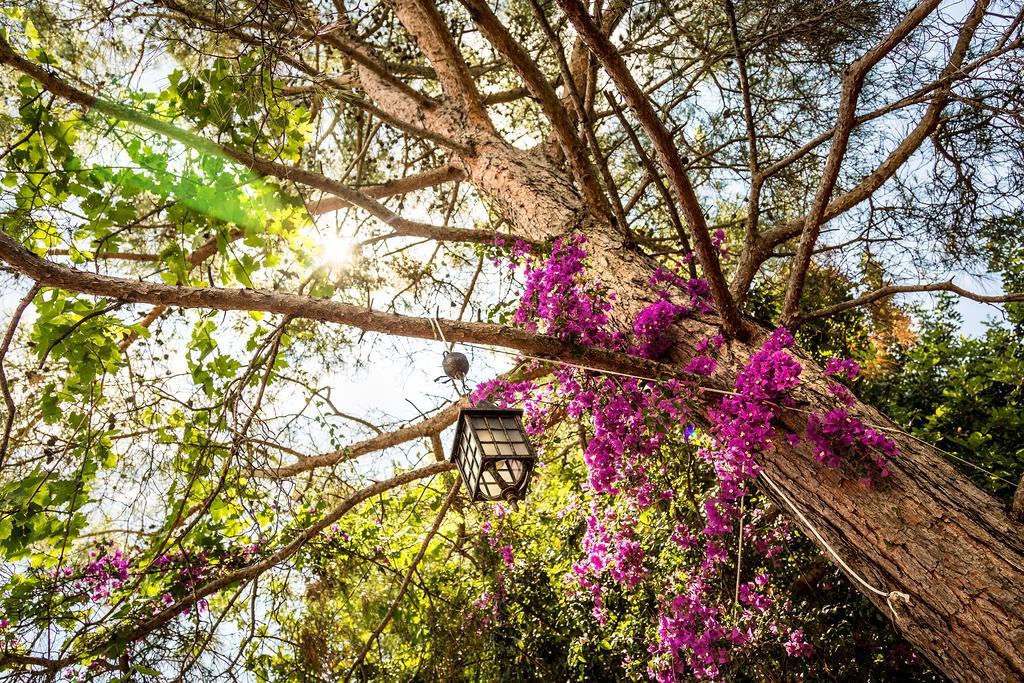 Secret Garden Hotel & Bungalows Çıralı エクステリア 写真