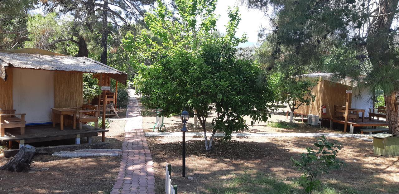 Secret Garden Hotel & Bungalows Çıralı エクステリア 写真