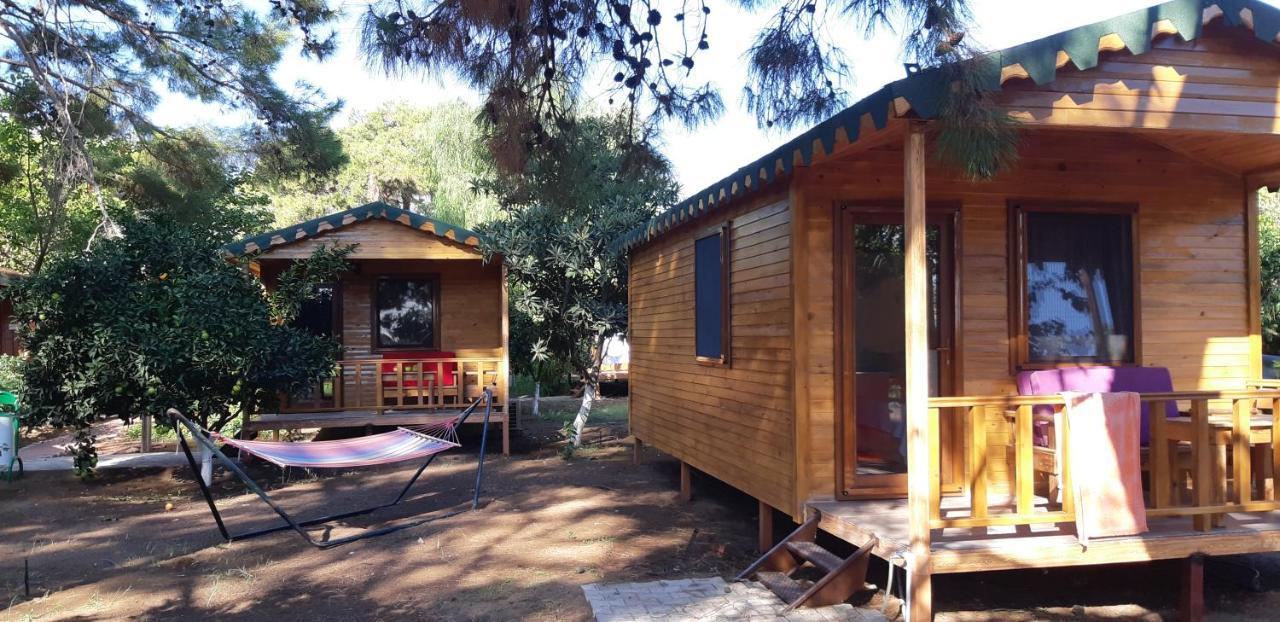 Secret Garden Hotel & Bungalows Çıralı エクステリア 写真